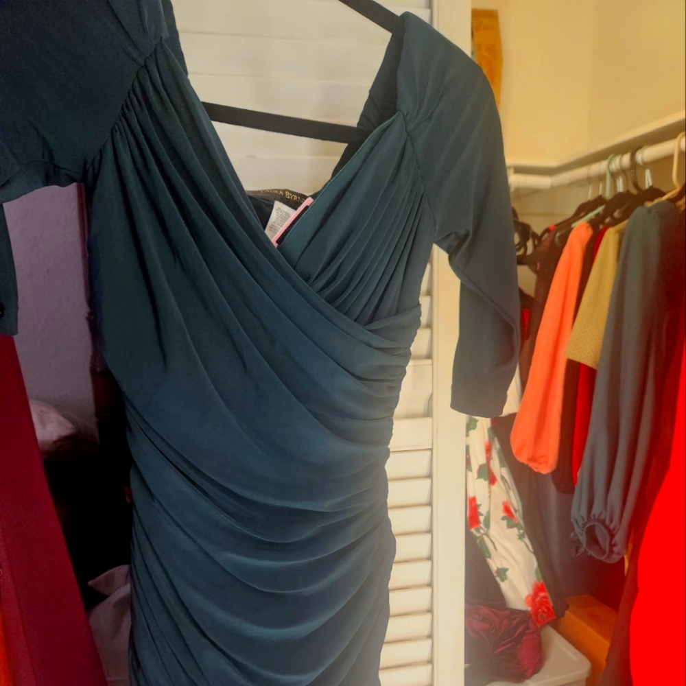 NWT Monica dress